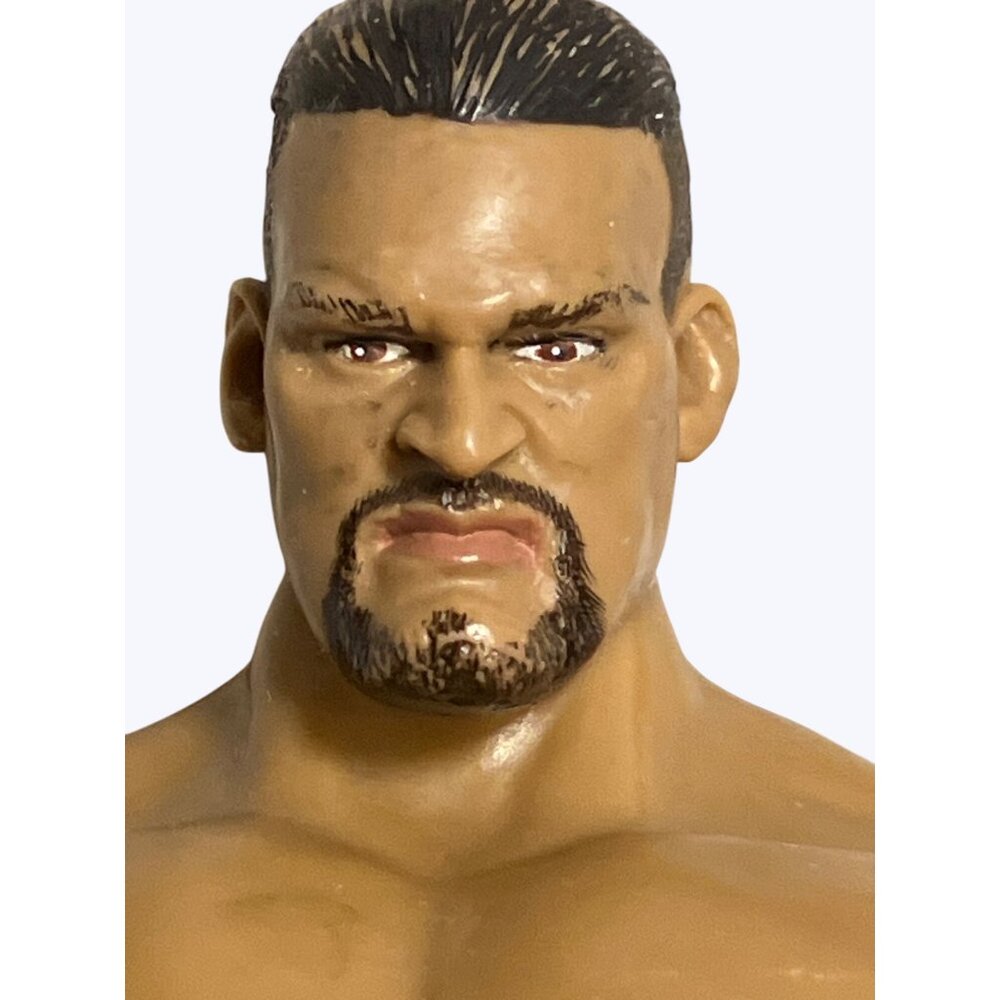 Jackks Pacific WWE Rosie Super Hero Wrestling In Training Action Figure - Picture 6 of 13